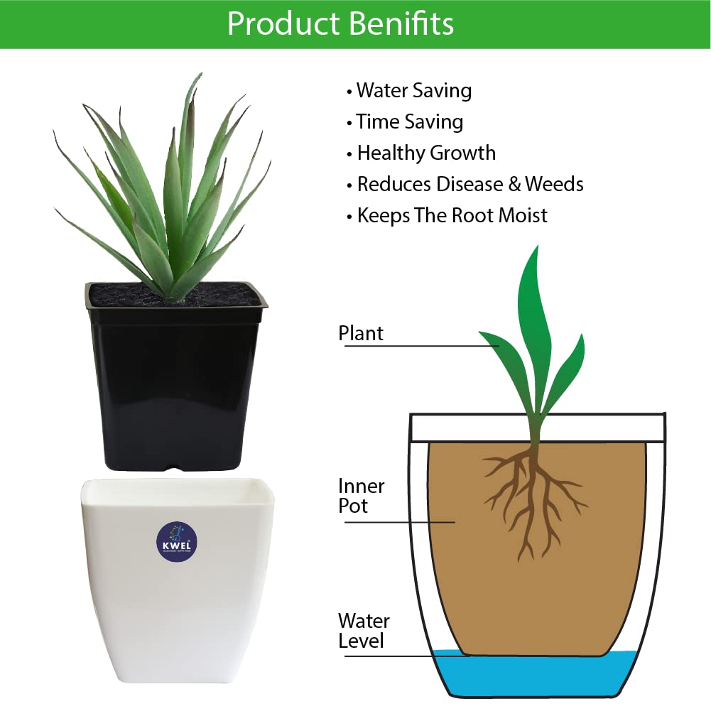 Daisy Self Watering Flower pots Virgin Plastic Indoor Outdoor Balcony (Pack of 4)