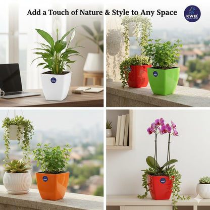 Daisy Self Watering Flower pots Virgin Plastic Indoor Outdoor Balcony (Pack of 4)